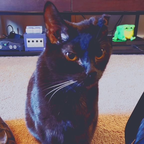 Meet Your Posher - Picture 2 of 6